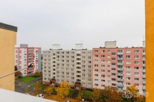 1699_1640514689.jpg
