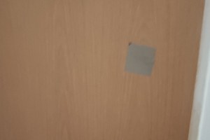 1766_7169101511.jpg