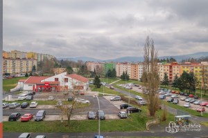 1777_6978739481.jpg