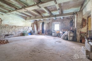 180210_1683619860.jpg