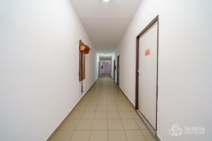 2430_8870739571.jpg