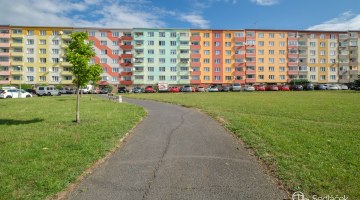 2655_3011975834.jpg