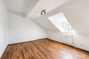 2746_6566643568.jpg