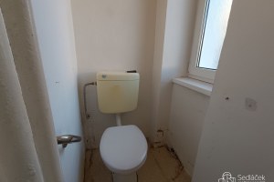 2777_4484137942.jpg